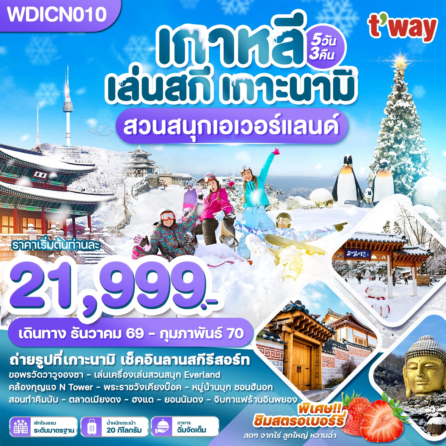 ทัวร์เกาหลี เล่นสกี เกาะนามิ เที่ยวปีใหม่!! สวนสนุกเอเวอร์แลนด์ 5วัน 3คืน (TW)